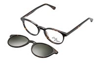 Brillengestelle Clark CLARK 1459004 AVANA48